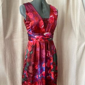 Banana Republic Silk Dress Size 2